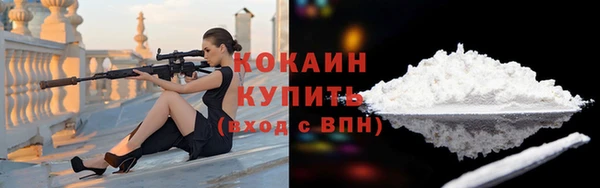 шишки Медвежьегорск