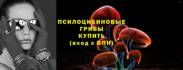 шишки Медвежьегорск