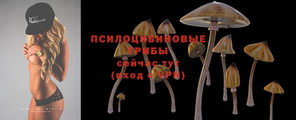 шишки Магадан