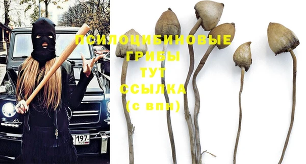 ешки Мегион
