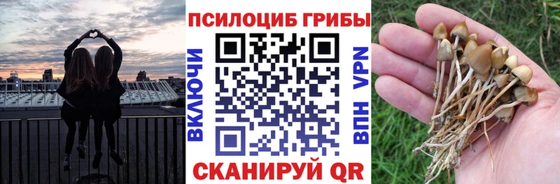 Галлюциногенные грибы Psilocybine cubensis  Купить  Нерехта 